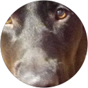 Talhon and Kahnor profile picture